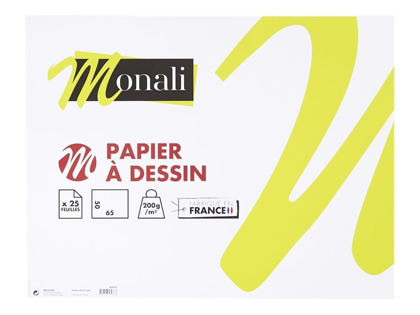 Manipack 25 feuilles 200 g - 50 x 65 cm - Papier de Dessin Esquisse et  Pastel - Dessin - Pastel