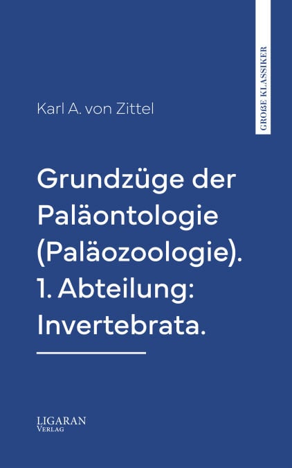 media/pim/20_54d198e9-5636-4810-91f7-37f63fdf1ea5.jpeg