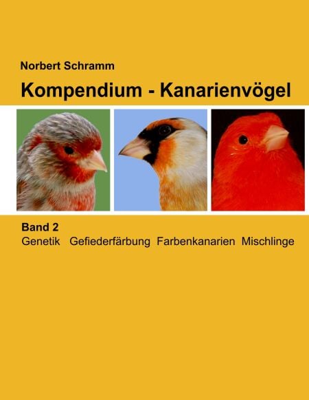 media/pim/20_metadata-image-70972928.jpeg