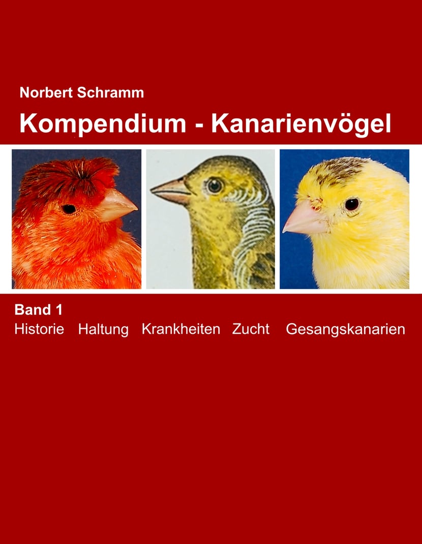 media/pim/20_metadata-image-70979124.jpeg