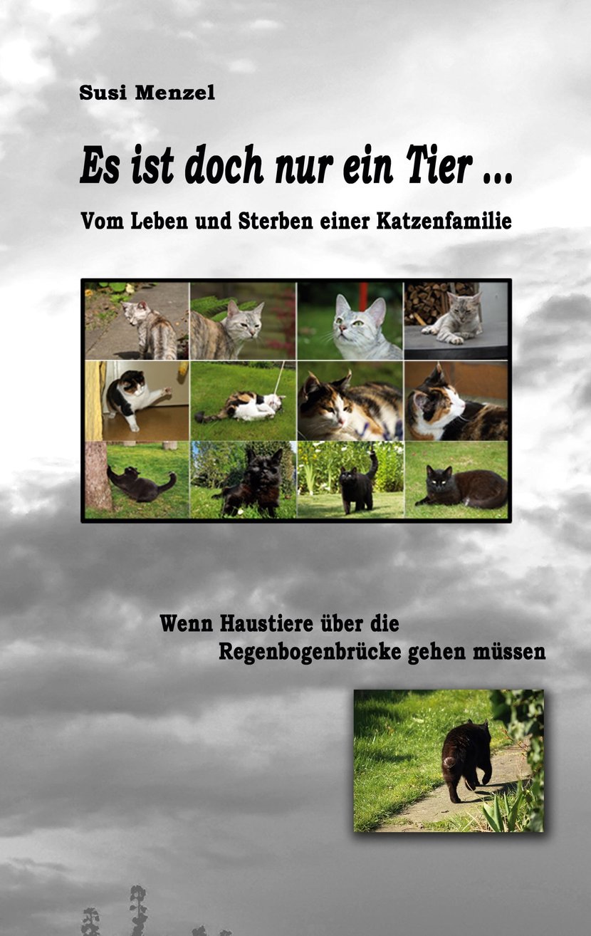 media/pim/20_metadata-image-76474384.jpeg