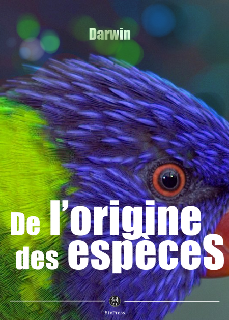 media/pim/21_369bb009-915b-4809-84dd-26524277871d.jpeg