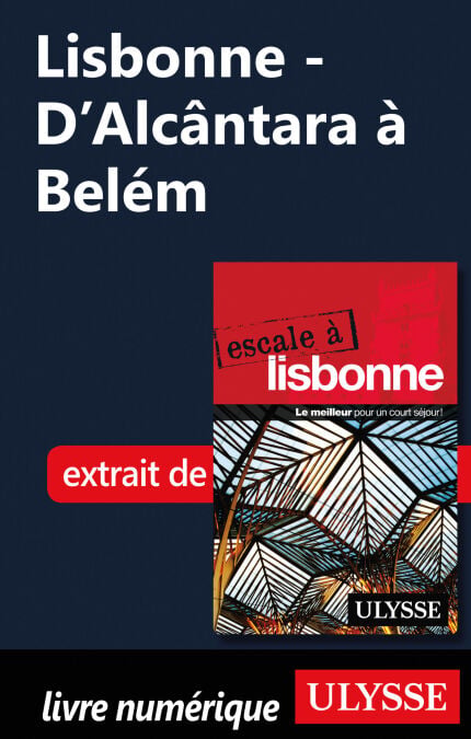 media/pim/21_98710c4a-4765-4c36-826c-03de2cb61204.jpeg