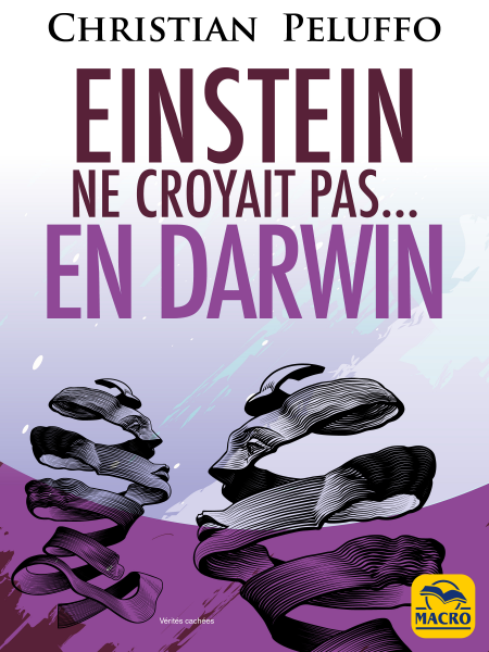 media/pim/21_be930781-eb30-40eb-bf4c-1b8d17fb14ef.jpeg