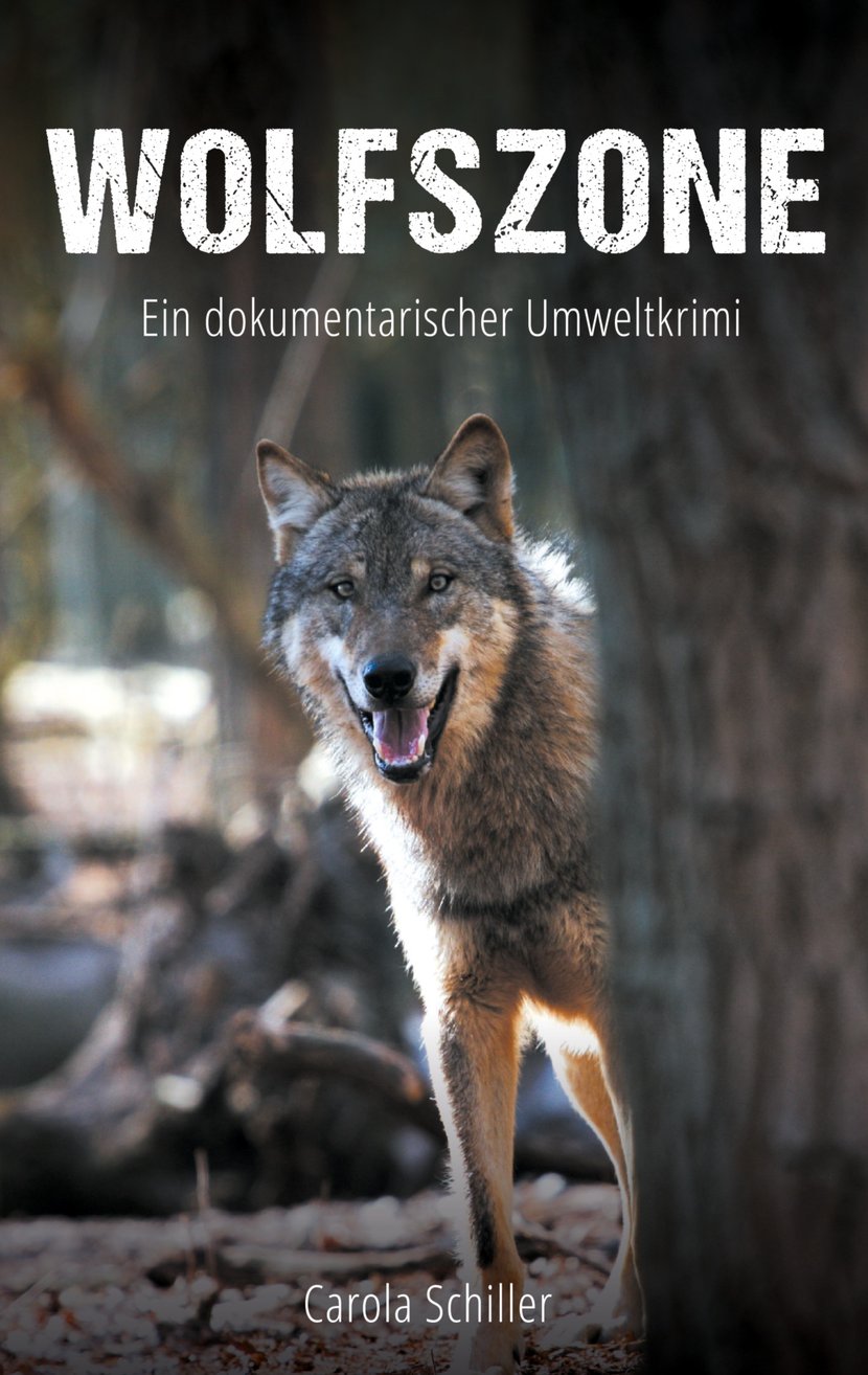 media/pim/21_metadata-image-59786871.jpeg