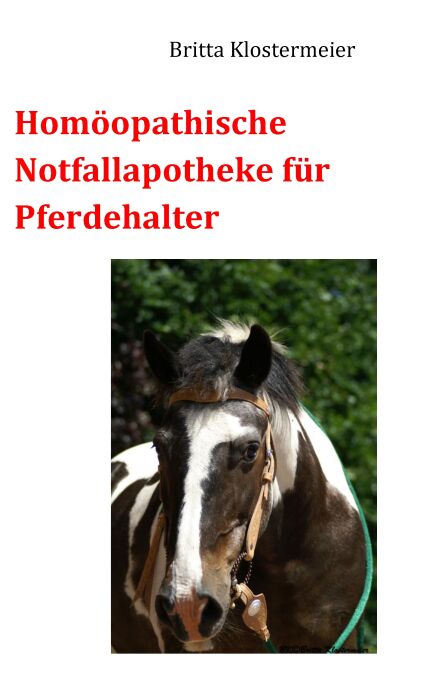 media/pim/21_metadata-image-70960251.jpeg
