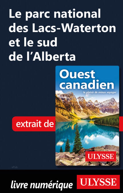 media/pim/22_00a10845-fcb1-41bc-8225-c9fd440bd710.jpeg