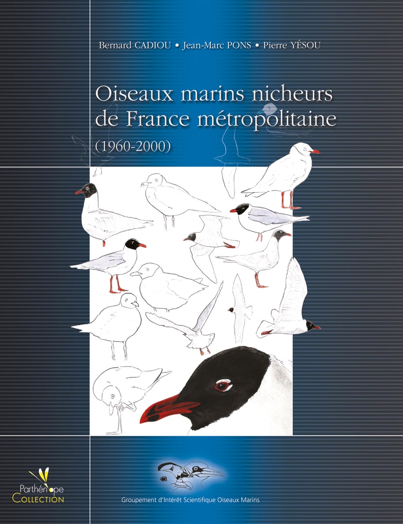 media/pim/22_metadata-image-3298241.png