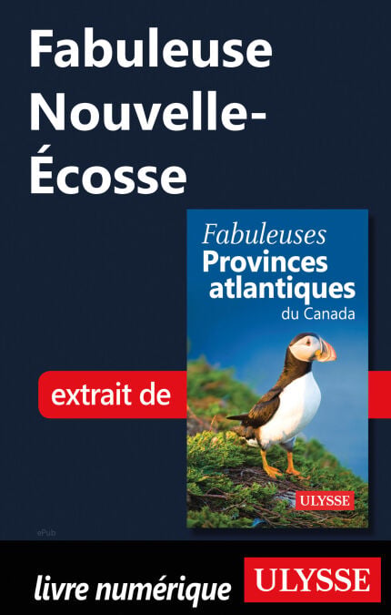 media/pim/23_22fb3a6e-8b13-4c5f-9b78-b6605fcb0665.jpeg