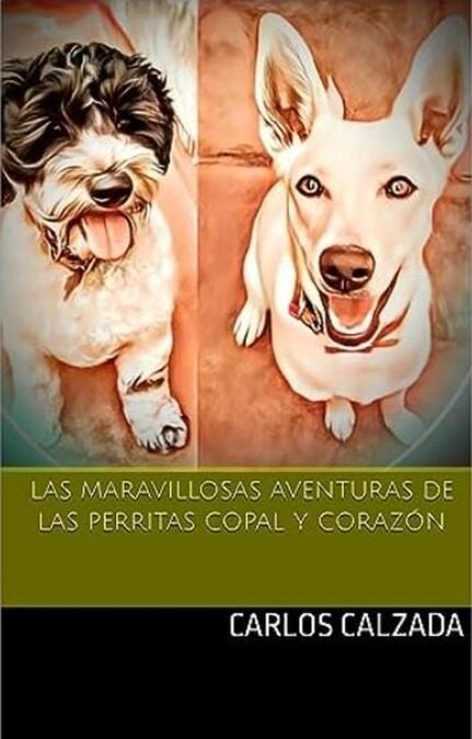 media/pim/23_51de7994-250a-46cc-8e4b-2199c74416ce.jpeg