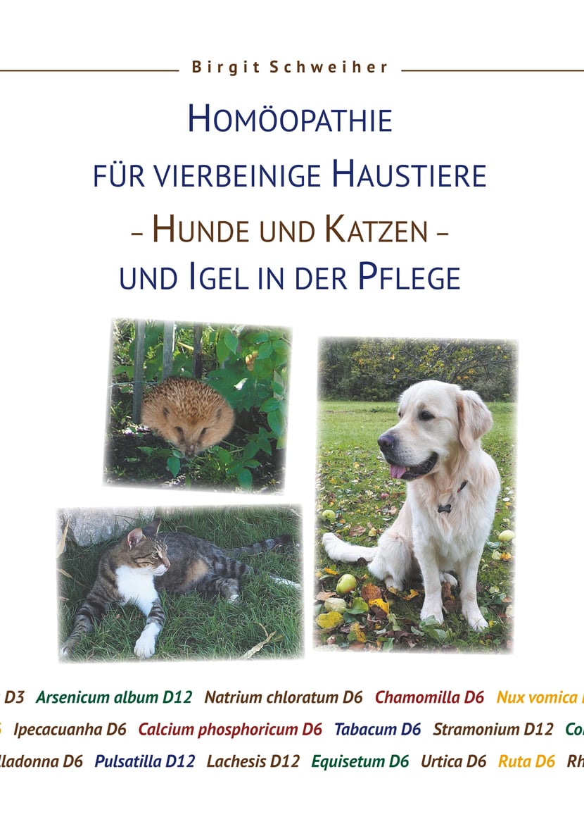 media/pim/23_metadata-image-38082000.jpeg