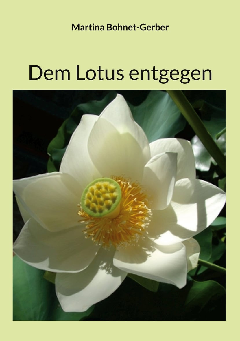 media/pim/23_metadata-image-70513179.jpeg