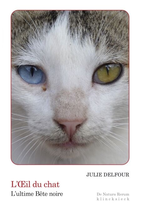 media/pim/24_04de3bdd-b5ab-47fd-9b0e-ab427cdf5fce.jpeg