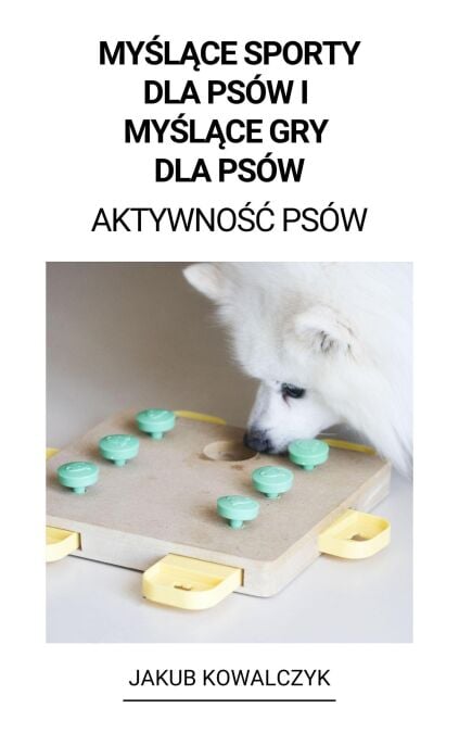 media/pim/24_217e5d08-3c56-4694-8f47-c77ef7b6c353.jpeg