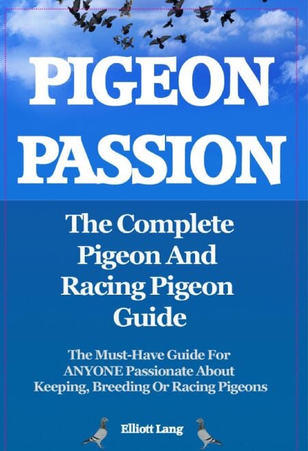 media/pim/24_4f255b6a-db8a-4a7d-a471-3af305cf66cc.jpeg