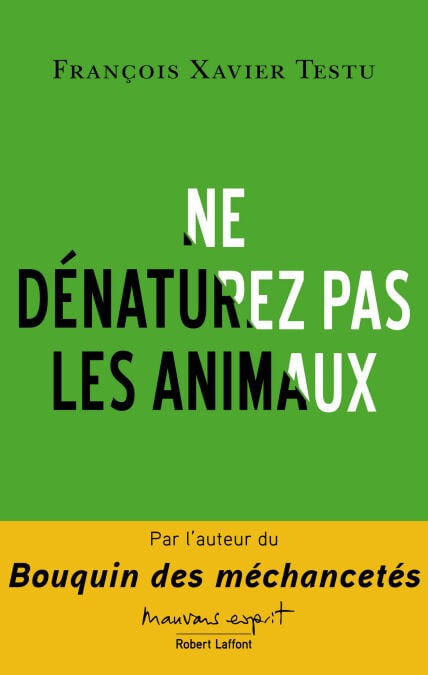 media/pim/24_c488dacc-b3a4-41a9-a54c-5a8fd4221319.jpeg
