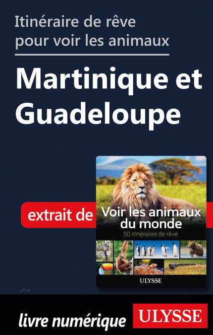 media/pim/24_d1e928f0-3b70-4142-87f5-b24be470e53a.jpeg