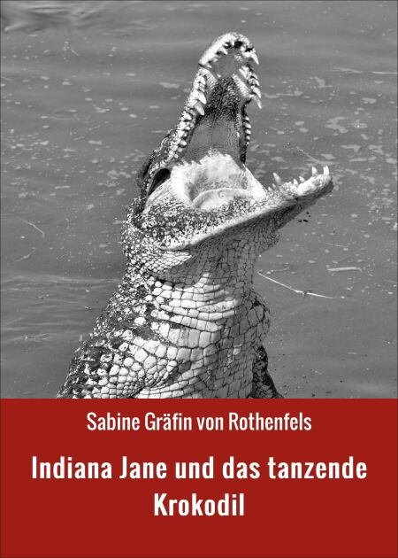 media/pim/24_d9f97449-7602-4df8-bf89-a65275503704.jpeg