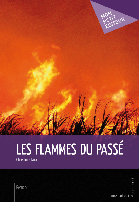 media/pim/24_metadata-image-3204305.png