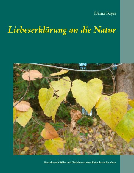 media/pim/24_metadata-image-35486288.jpeg