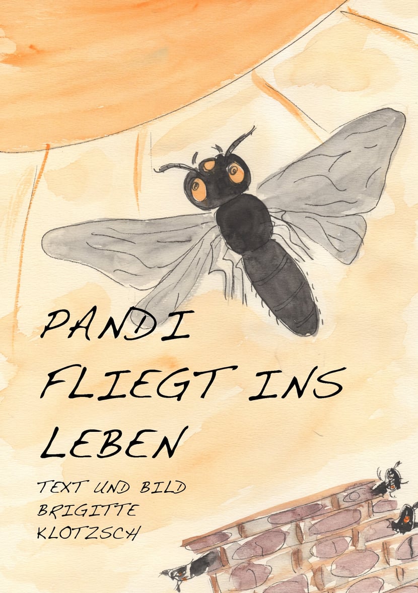 media/pim/24_metadata-image-70966947.jpeg