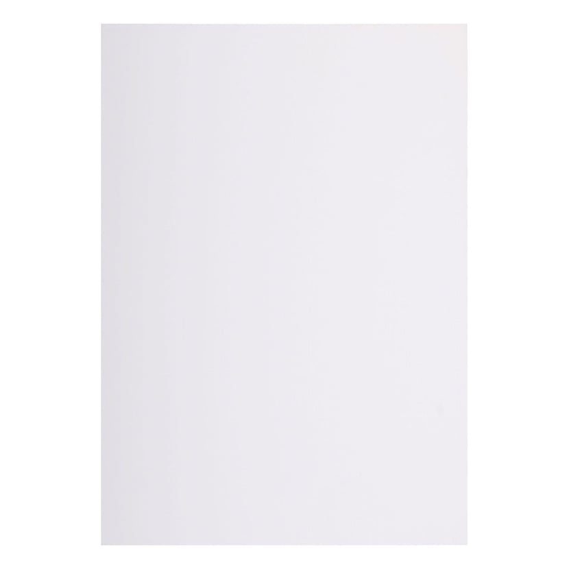 media/pim/25-cartes-a4-verge-210g-blanc-25-cartes-a4-verge-210g-blanc-3140290410008_0.jpg