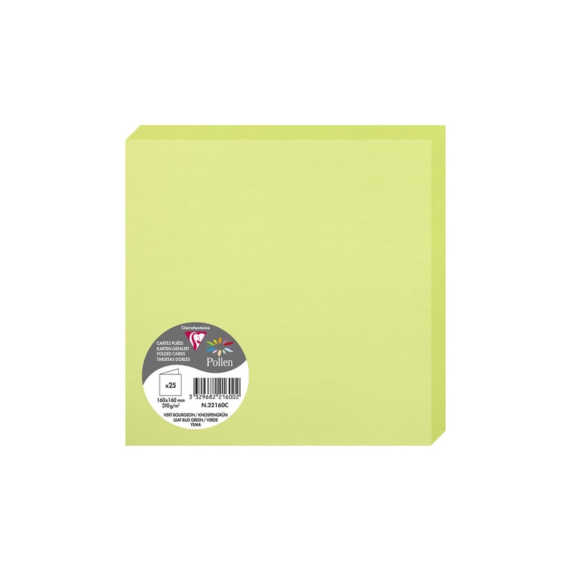 media/pim/25-cartes-dble-160x160-vert-bo-25-cartes-dble-160x160-vert-bourgeon-3329682216002_0.jpg