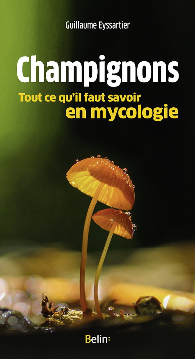 media/pim/2553622_image_type_product_shot_FOUR_non_TRANSCODE_1_FR_d9cc2