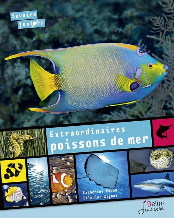 media/pim/2567684_daj8axz7_1