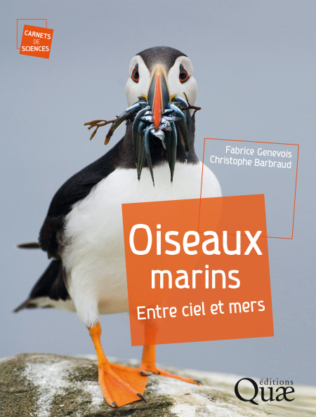 media/pim/25_7044d32e-40ab-4e76-af92-f6767e95192d.jpeg