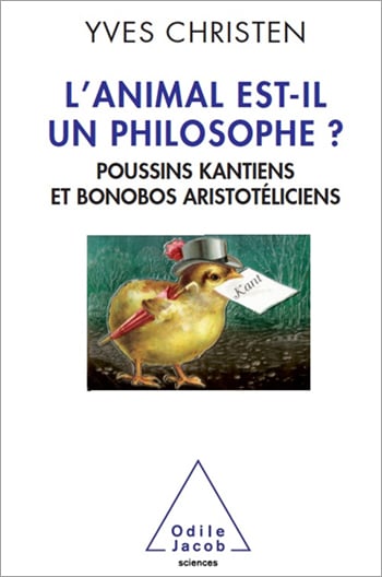 media/pim/25_metadata-image-35089106.jpeg