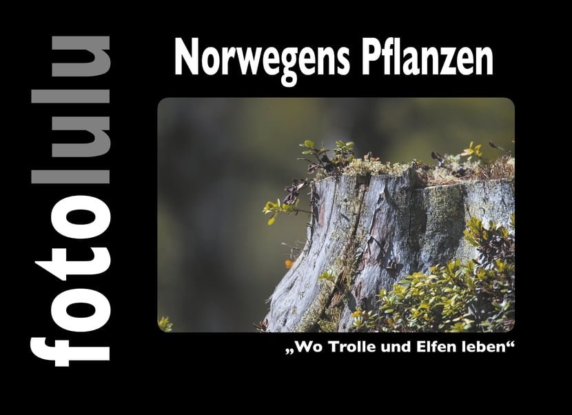 media/pim/25_metadata-image-70978799.jpeg