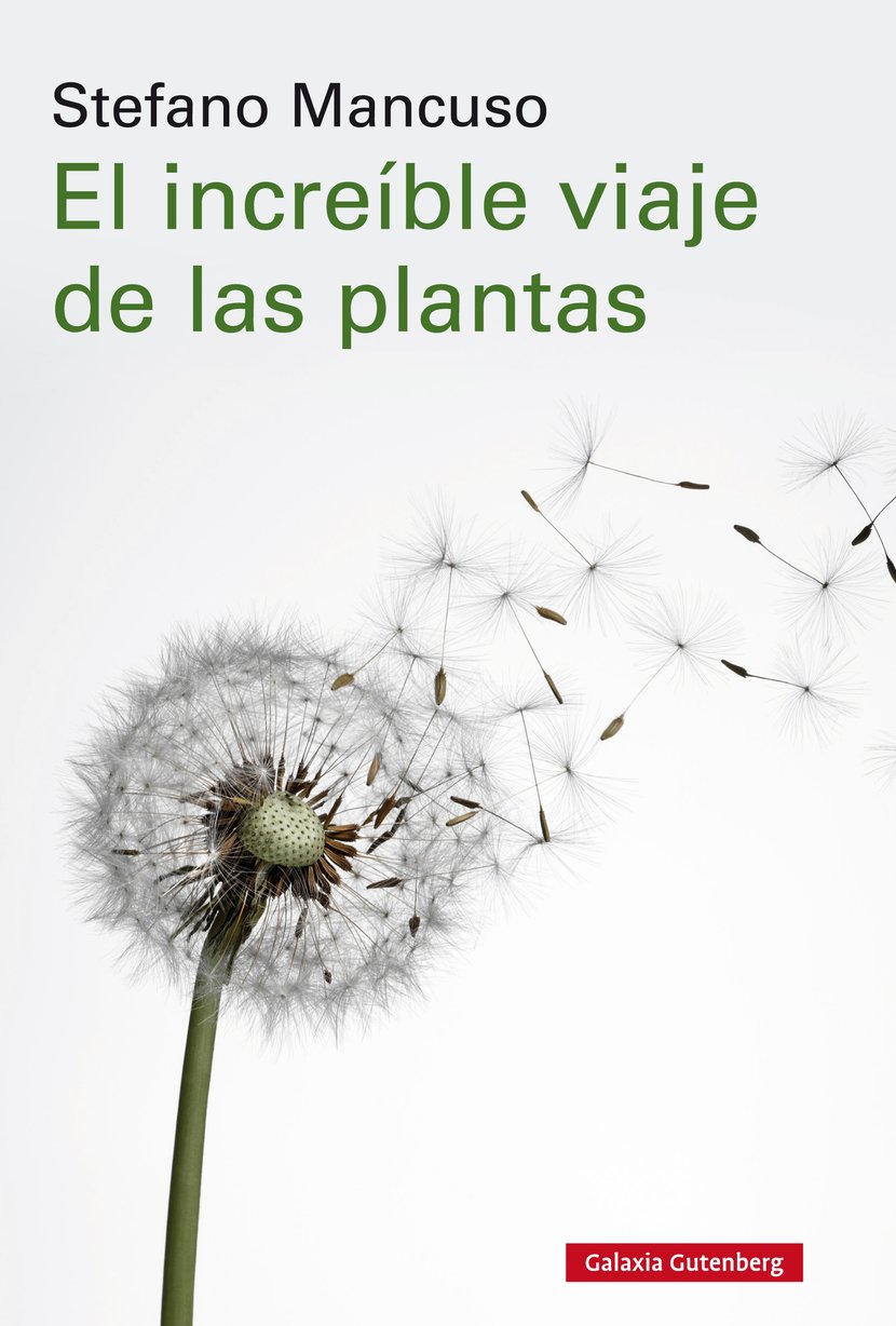 media/pim/25_standalone-image-1683227.jpg