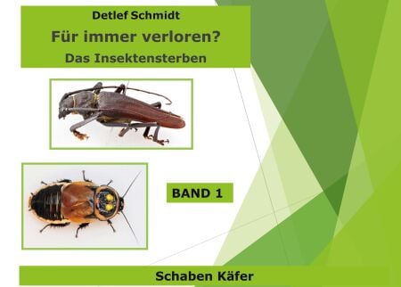 media/pim/26_8ab68ced-a6cc-4033-b856-b8882622cdab.jpeg