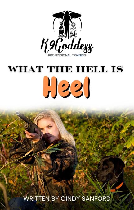 media/pim/26_942e14a7-99c9-40eb-b362-363fce21c9ad.jpeg