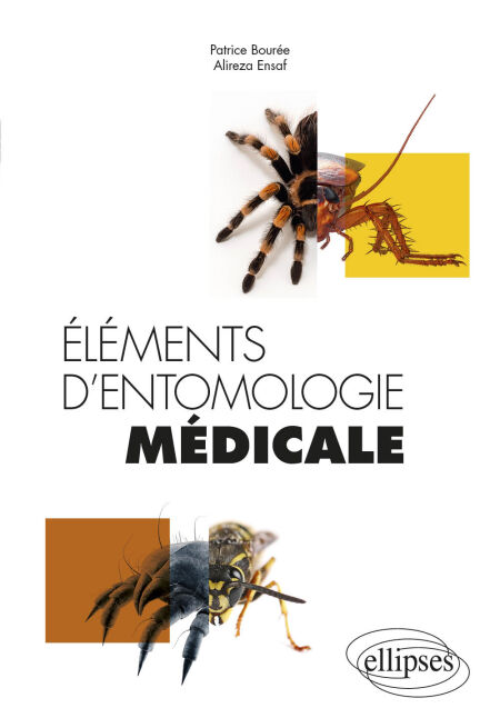 media/pim/26_f458fc69-e144-46c8-a86f-818e74322997.jpeg