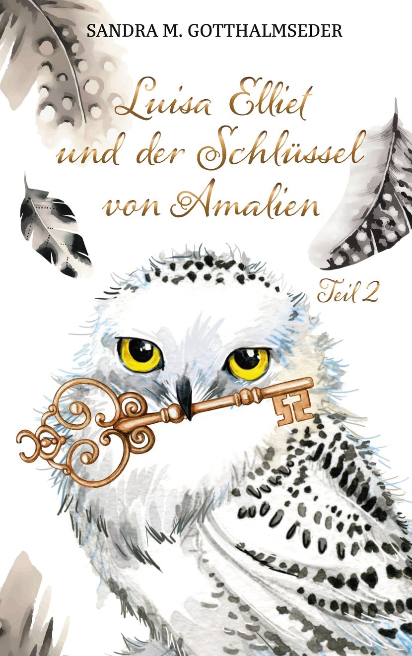 media/pim/26_metadata-image-55109415.jpeg