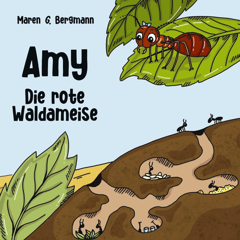 media/pim/26_metadata-image-66114443.jpeg