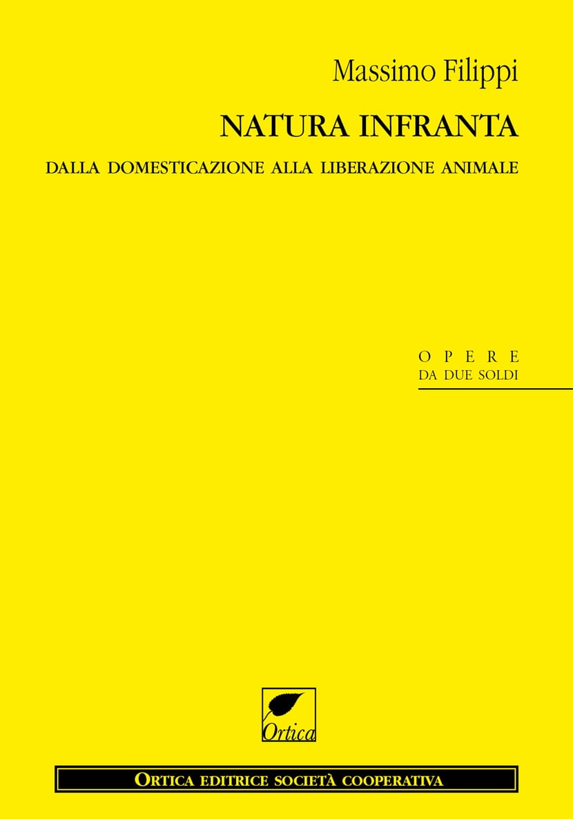 media/pim/26_standalone-image-569646.jpg
