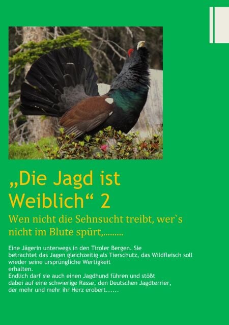 media/pim/27_metadata-image-70988080.jpeg