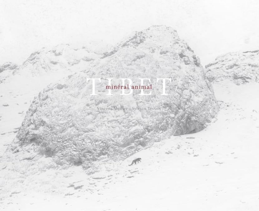 media/pim/2849060_image_type_product_shot_FOUR_non_TRANSCODE_1_FR_ce557