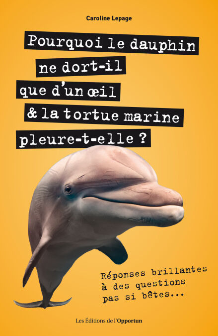 media/pim/28_ace56d9a-965e-4a4d-a7f3-5bd24d8a8713.jpeg