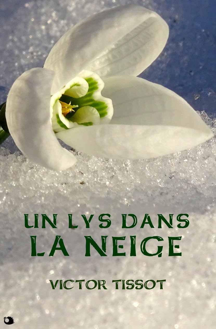 media/pim/28_metadata-image-23982360.png