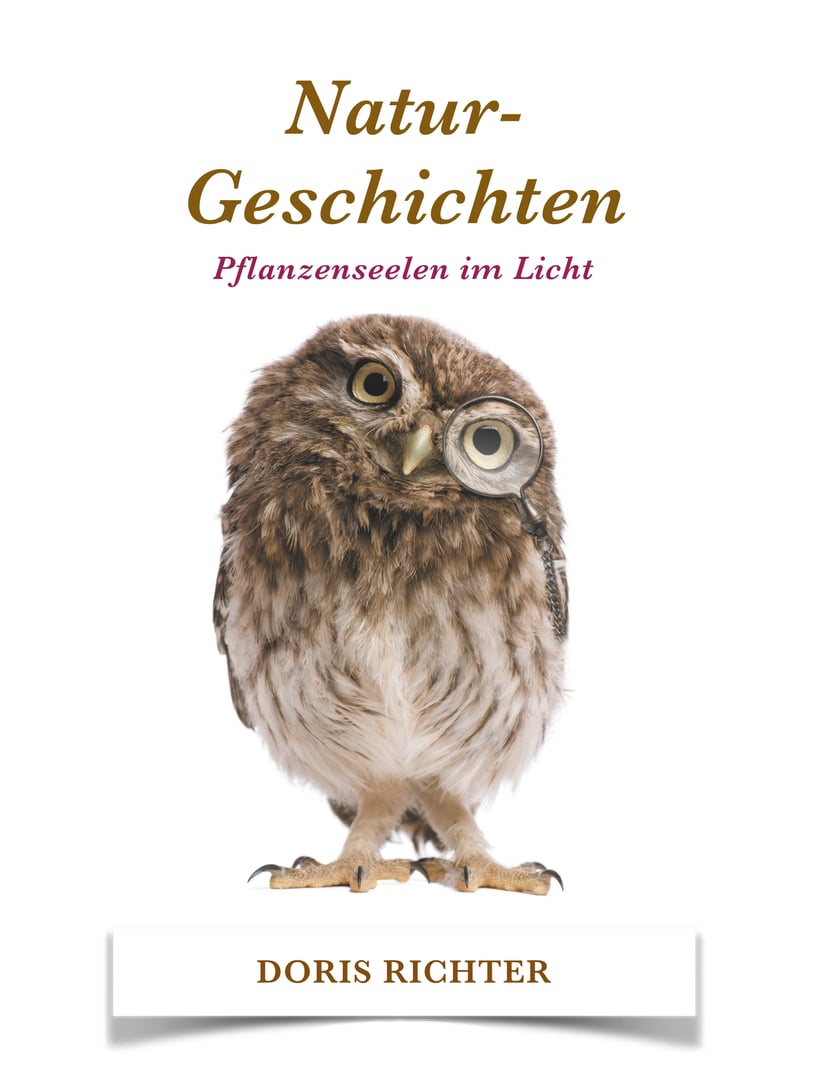 media/pim/28_metadata-image-70914491.jpeg