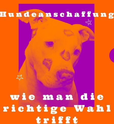 media/pim/29_e6f0dd74-d349-4cd3-ab2b-a01fb3dc33ca.jpeg