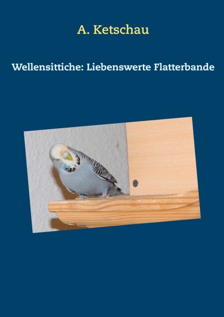 media/pim/29_metadata-image-70988701.jpeg