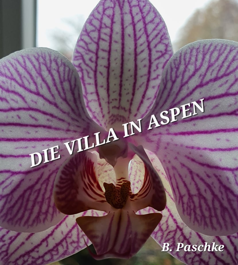 media/pim/29_metadata-image-71037962.jpeg