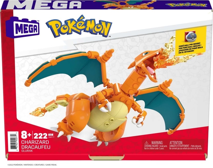 Range Carte Pokémon Dracaufeu Réaliste • La Pokémon Boutique