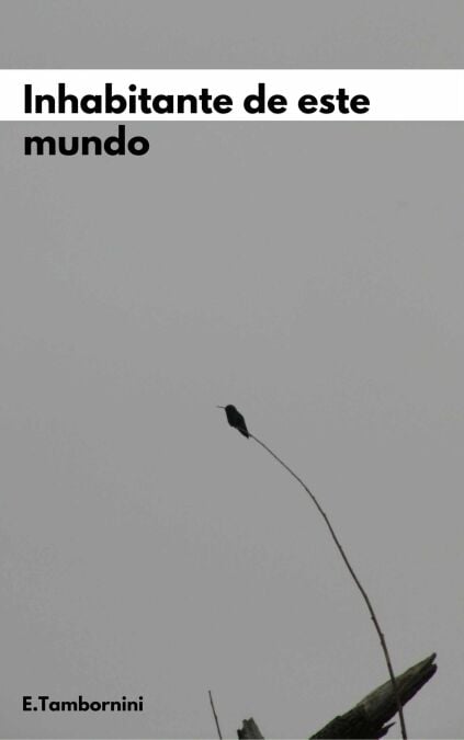 media/pim/2_49ecb2b6-51df-4243-9080-d2f7aba40cb9.jpeg