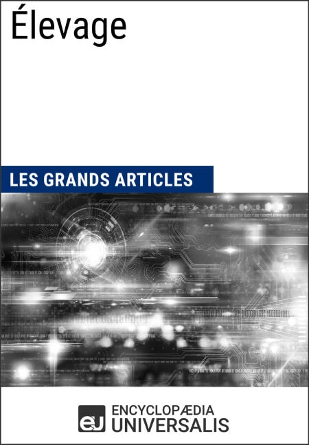 media/pim/2_65919ba8-07cf-400c-a6b8-bec18c2de3d5.jpeg